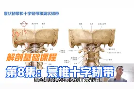 三个好医生正骨解剖基础教程，带您了解第1颈椎，寰椎的十字韧带视频封面