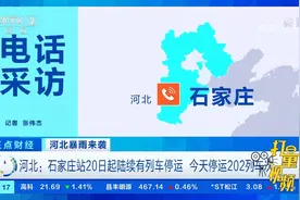 石家庄站20日起陆续有列车停运，停运202列车次|正点财经视频封面