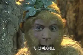 西游记：小石猴勇敢跳瀑布，还意外发现仙府水帘洞，成为美猴王视频封面
