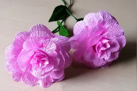 超漂亮的皱纹纸花朵，做法简单易学，保姆级视频教程视频封面