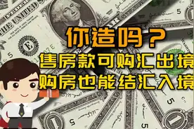 境外人士售房款可购汇出境，购房款也可结汇入境视频封面