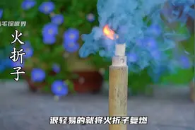 帅气小哥复原古代火折子 一吹即燃 古人的智慧真是绝了！视频封面
