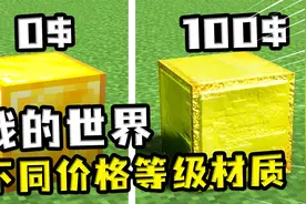 我的世界：不同价格的材质？100块的材质超真实，这就是钱的力量视频封面