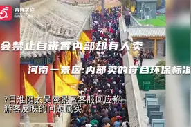 庙会禁止自带香内部却有人卖 河南一景区:内部卖的符合环保标准视频封面