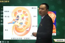 临床-泌尿系统-肾结核02临床型肾结核进一步发展会出现的病理改变视频封面