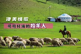 凄美情歌，我酿的酒喝不醉我自己，你唱的歌却让我一醉不起视频封面