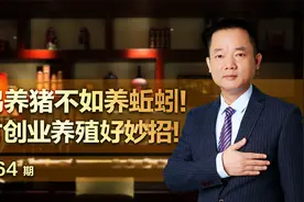 养鸡养猪不如养蚯蚓！农村创业养殖好妙招！视频封面