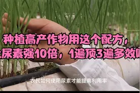 种植高产作物用这个配方，比尿素强10倍，1遍顶3遍多效唑视频封面