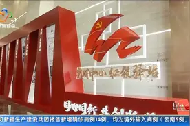 汉阳区开启首个楼宇发展“红色联盟”党建引领做优楼宇经济生态圈视频封面