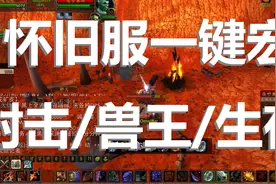 怀旧服最强射击生存猎人一键宏 拥有魔兽世界顶级PVE思维的一键宏视频封面