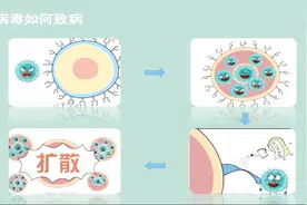 曾一药难求的流感神药“达菲”，将流感病毒扼杀在摇篮中视频封面