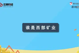 西部矿业[601168]视频封面