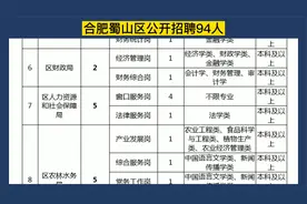 合肥蜀山区公开招聘94人，专业不限，7万元/年视频封面