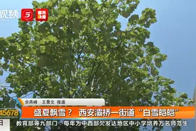 盛夏飘雪？西安灞桥一街道“白雪皑皑”视频封面