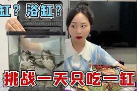 挑战一天只吃一缸，鱼缸里面养牛蛙？抓到什么就吃什么！视频封面