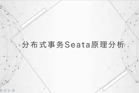 分布式事务Seata Server端原理分析视频封面