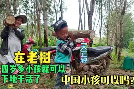 老挝到了雨季死了好多橡胶树，只收拾拿回家烧火，这烧的都是钱啊视频封面