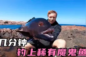 外国小哥出海钓鱼，竟然钓上了世上稀有的紫色魔鬼鱼，太幸运了视频封面