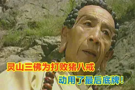 猪八戒和真武大帝大闹灵山，灵山三佛动用了最后底牌！视频封面