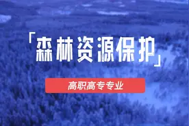 森林资源保护专业介绍视频封面