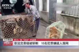 7万5买一只金丝猴50万卖出？安徽铜陵动物园涉嫌“洗白”盗猎国宝视频封面
