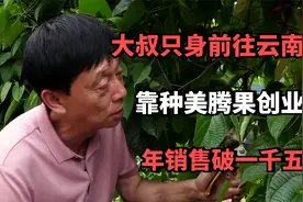大叔只身前往云南创业，靠种美腾果创业成功，年销售破一千五百万视频封面
