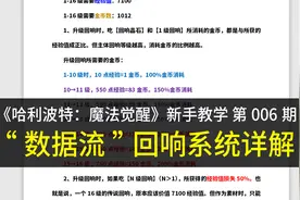 【冰冷解说】回响系统详解（哈利波特：魔法觉醒）视频封面