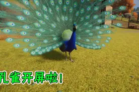 动物园建设41：一起近距离观看动物园的24种珍稀动物！视频封面