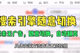搜索无广告，各搜索引擎随意切换，自动翻页，搜索引擎中的天花板视频封面