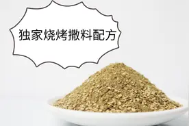 做烧烤23年总结出这一款撒料配方，客人吃了赞不绝口视频封面