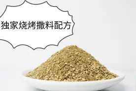 做烧烤23年总结出这一款撒料配方，客人吃了赞不绝口视频封面