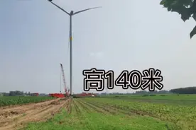 河南农村小镇装风力发电，投资5千万，要多久才能回本？视频封面