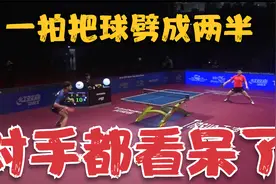 樊振东最残暴一球！一拍把球砸成两半，对手看呆了，裁判该怎么判