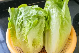 过年生菜这一个吃法火了，每做一盘都吃光，翠绿爽口，孩子超爱吃视频封面