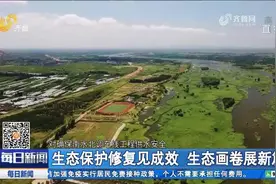 泰安推进生态修复,荒山变良田、污水处理厂变公园,生态画卷展新篇视频封面