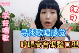 歌唱训练找感觉，用肚子说话，哼唱推着高音，调整口型慢慢练。视频封面