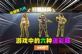 游戏中那些非常稀有的迷彩服，你拥有几套，其中野性山猫最稀有