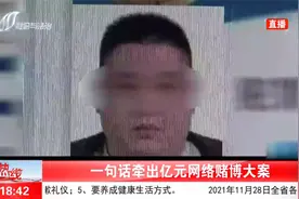 女子网上赌博输100多万，民警深入调查竟牵出亿元网络赌博大案视频封面
