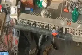 宜春：居民家养狗十多条 邻居们不堪其扰视频封面