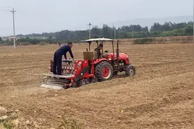 农村机械化种植冬小麦，10分钟完成一亩地，这速度太快了视频封面
