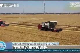 高于最低收购价700到800元！中储粮全面启动中央储备粮轮入收购视频封面