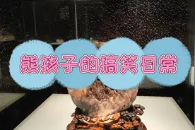 搞笑视频：熊孩子考试竟然比第一名多2分，到底是什么意思？视频封面