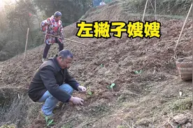 不是一家人不进一家门，哥嫂是左撇子，这么多年刘老九今天才知道视频封面