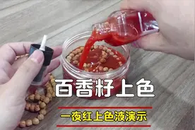 百香籽怎么盘，上色慢吗，不存在的，一夜一样红视频封面