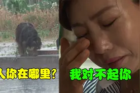 黑狗寻找主人6个月，相见时主人泣不成声，这才发现自己做错了！视频封面