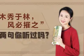 老祖宗告诫后人：木秀于林，风必摧之，后半句道出人性的丑陋视频封面