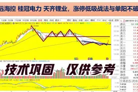 中远海控 桂冠电力 天齐锂业，涨停低吸战法与单阳不破详解视频封面