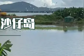 新会神秘的小海岛，竟然有很多人都不知道视频封面