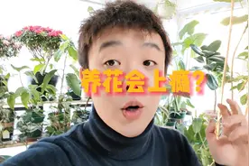养花会上瘾，看看你有多大的“瘾”？视频封面