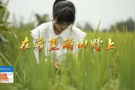 90后女孩回乡当“农业CEO”，插秧机上装北斗，带动村民一同致富视频封面